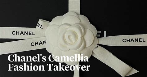 camellia perfume chanel|chanel camellia wallpaper.